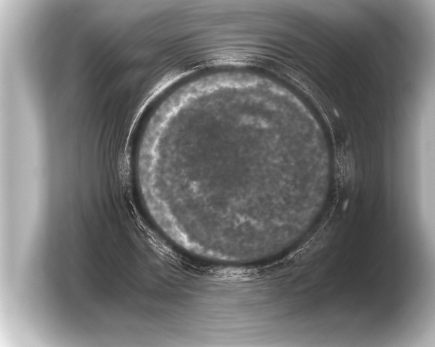 X0000103960779200810031203