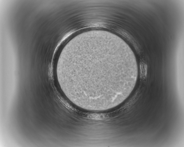 X0000103960780200810031203