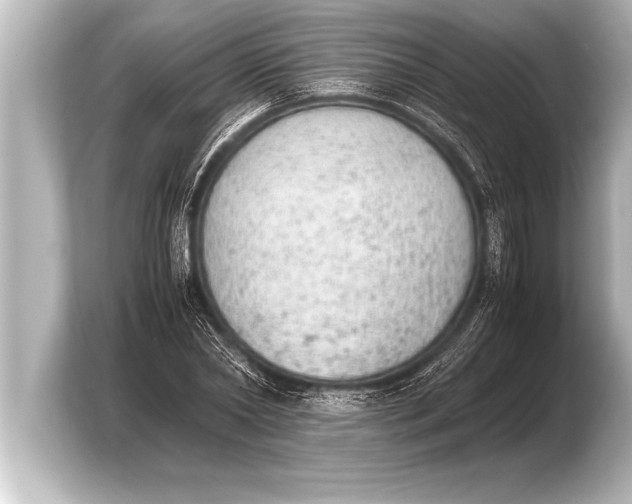 X0000103960782200810031203