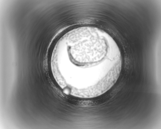 X0000103960784200810031203