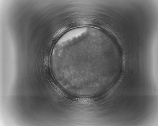 X0000103960785200810031203
