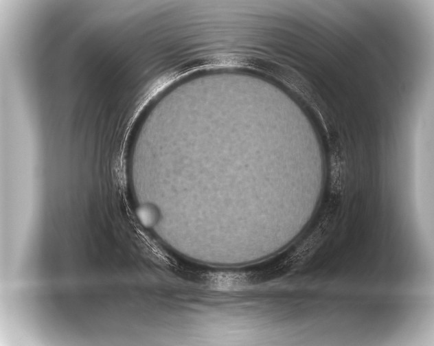 X0000103960789200810031203