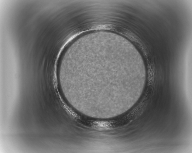 X0000103960792200810031203