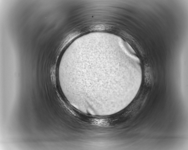 X0000103960794200810031203