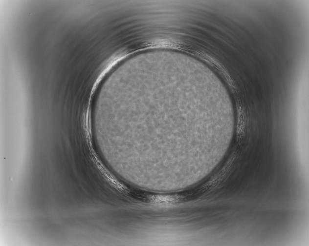 X0000103960796200810031203