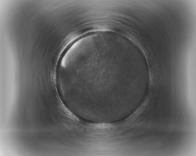 X0000103960797200810031203