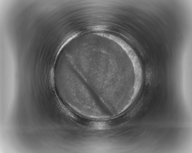 X0000103960798200810031203