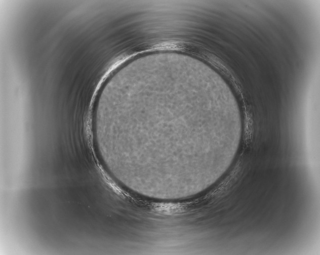 X0000103960800200810031203