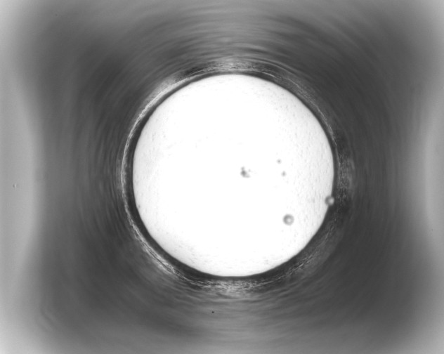 X0000103960803200810031203