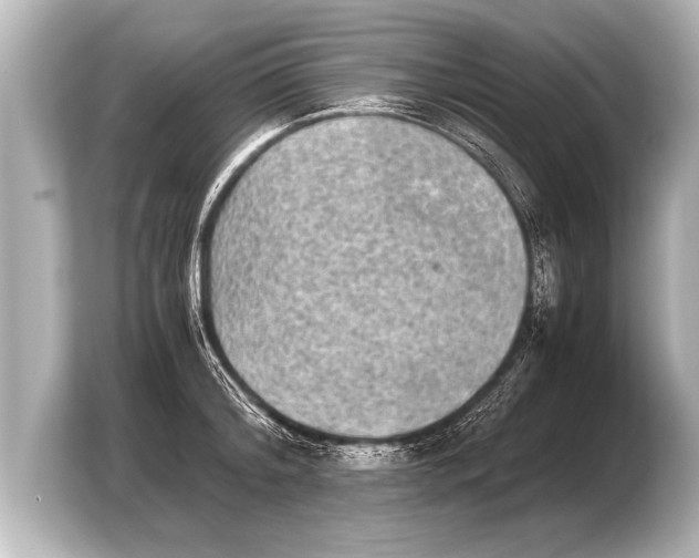 X0000103960804200810031203