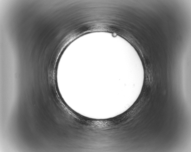 X0000103960805200810031203