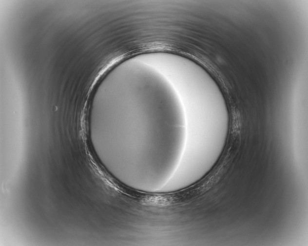 X0000103960806200810031203