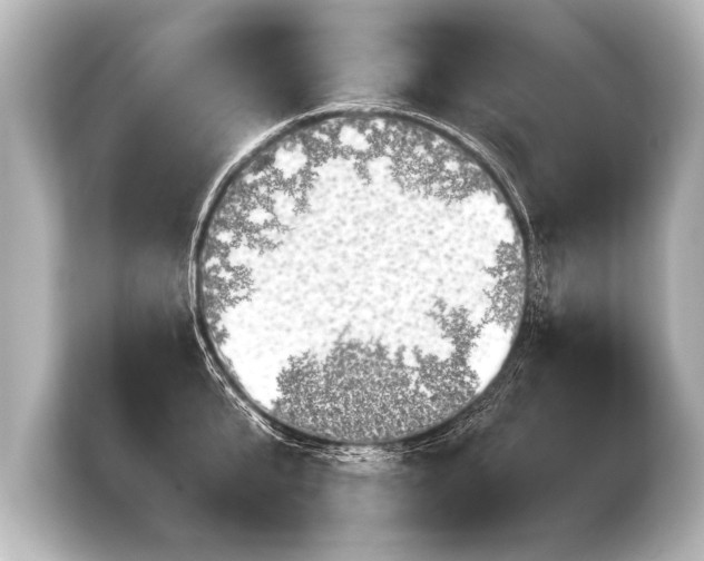 X0000103960807200810031203