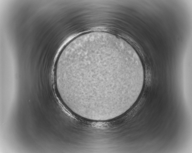X0000103960808200810031203