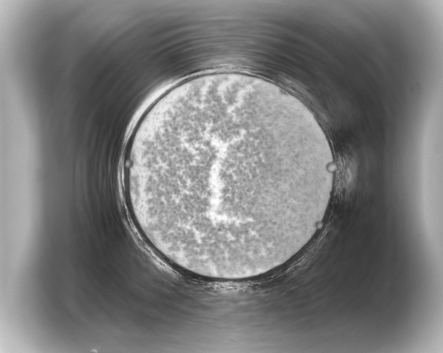 X0000103960812200810031203