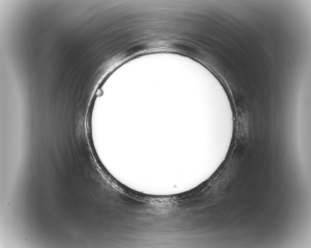 X0000103960813200810031203