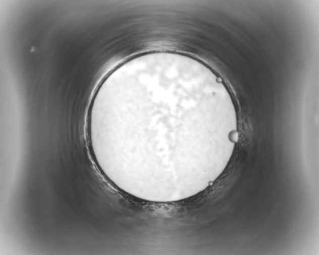 X0000103960815200810031203