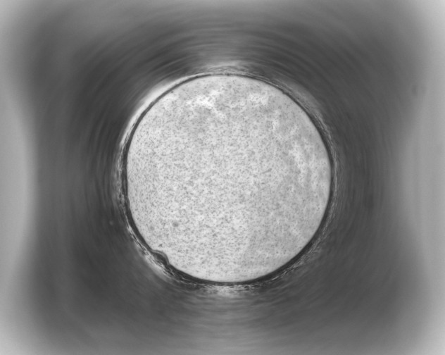 X0000103960816200810031203