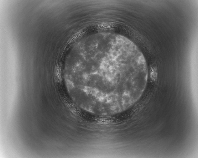 X0000103960819200810031202
