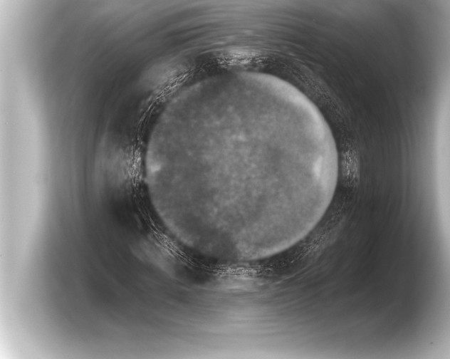 X0000103960820200810031202
