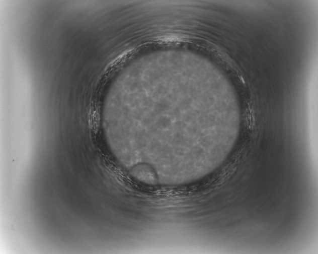 X0000103960821200810031202
