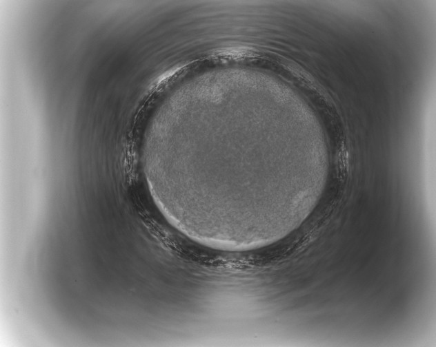 X0000103960822200810031202