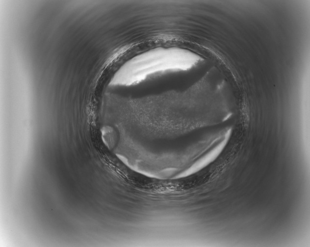 X0000103960823200810031202