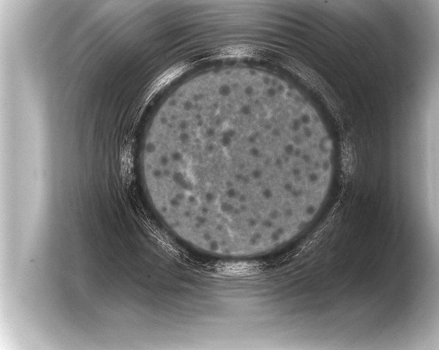 X0000103960826200810031202