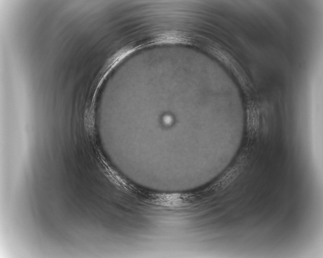X0000103960828200810031202