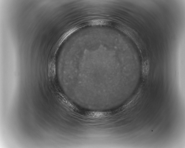 X0000103960829200810031202