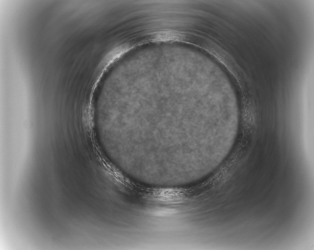 X0000103960832200810031202