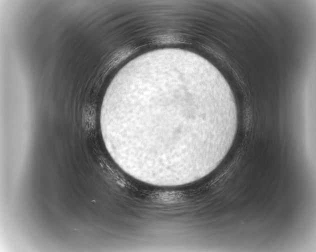 X0000103960833200810031202
