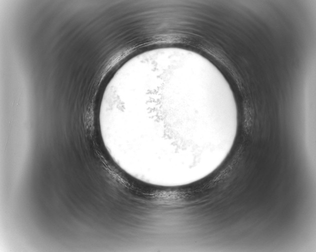 X0000103960834200810031202