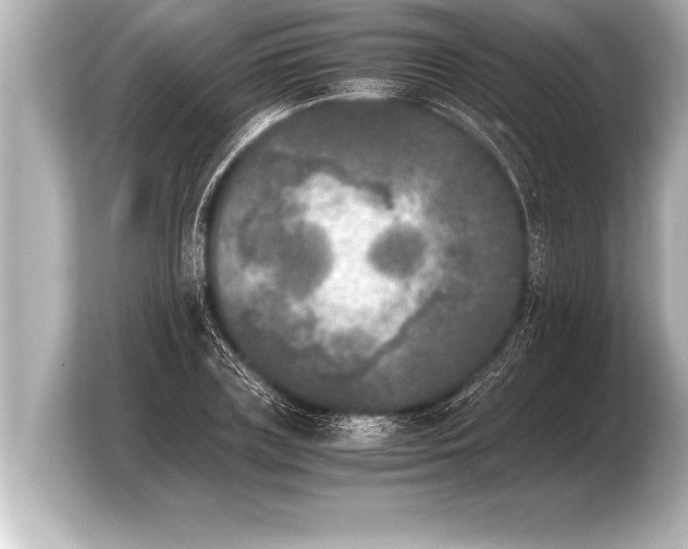X0000103960835200810031202