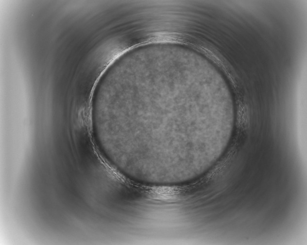 X0000103960836200810031202
