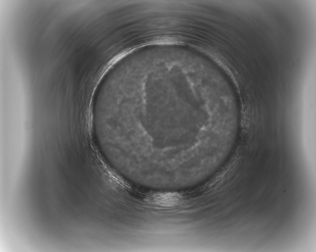 X0000103960837200810031202