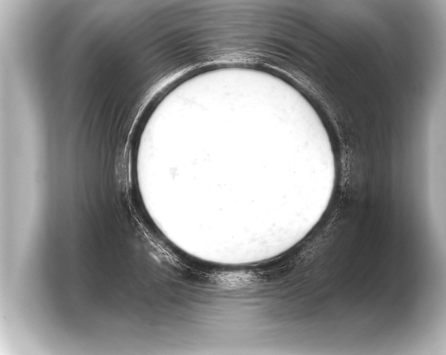 X0000103960838200810031202