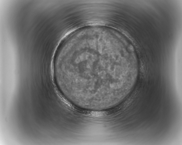 X0000103960840200810031202