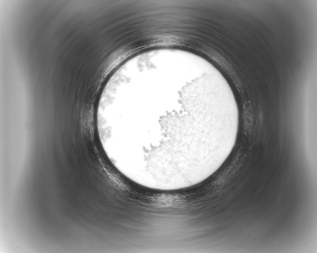X0000103960842200810031202
