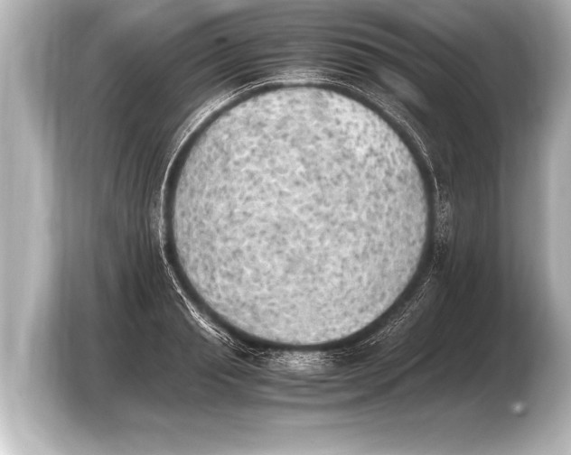 X0000103960845200810031202