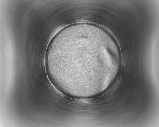 X0000103960847200810031202
