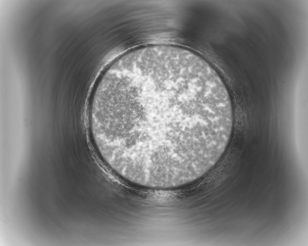 X0000103960848200810031202
