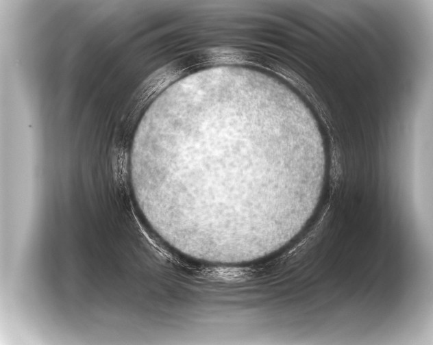 X0000103960849200810031202