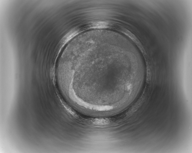 X0000103960850200810031202
