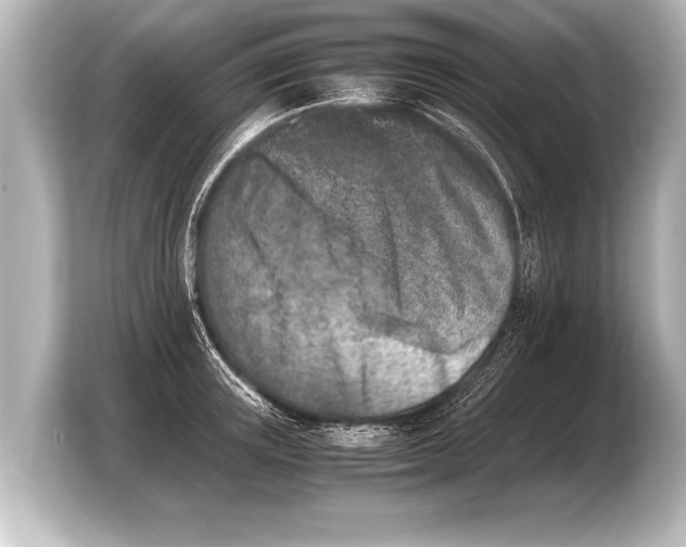 X0000103960851200810031202
