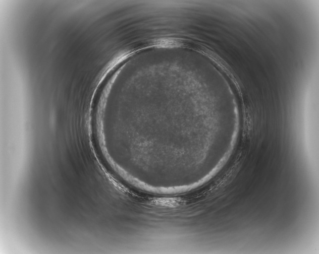 X0000103960853200810031203