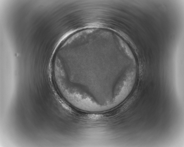 X0000103960854200810031203