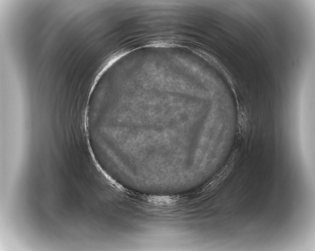 X0000103960855200810031203