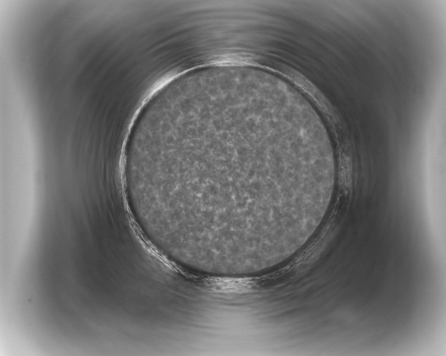 X0000103960856200810031203
