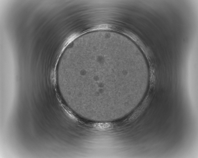 X0000103960858200810031203